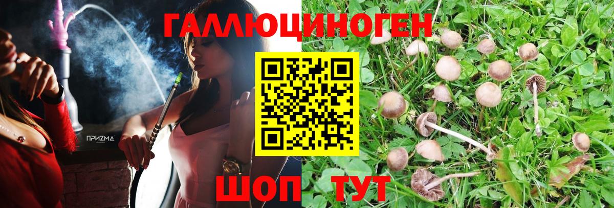 Псилоцибиновые грибы Psilocybine cubensis  Вход с VPN  Мытищи 