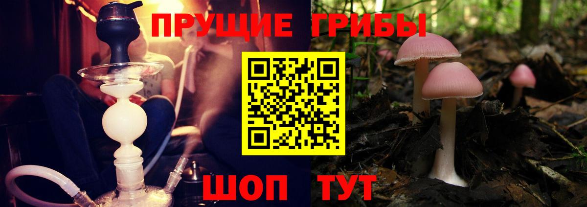 Галлюциногенные грибы MAGIC MUSHROOMS Мытищи