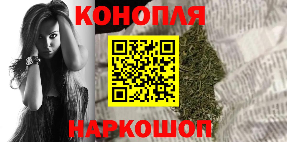 Шишки марихуана марихуана Мытищи